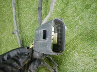 DSCN5408.jpg