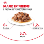Royal Canin Mini Ageing 12+ Корм консервированный для стареющих собак мелких размеров 85г
