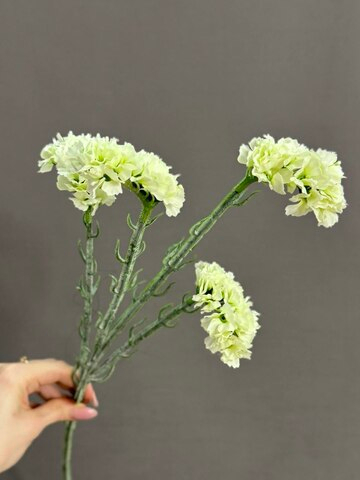 Статица белая (h64 см)