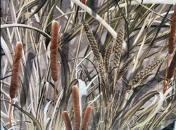 Ткань уличная-тентовая Prival Oxford 600 PU 1000, 230г/м2, камуфляж C158, 1.5х2м