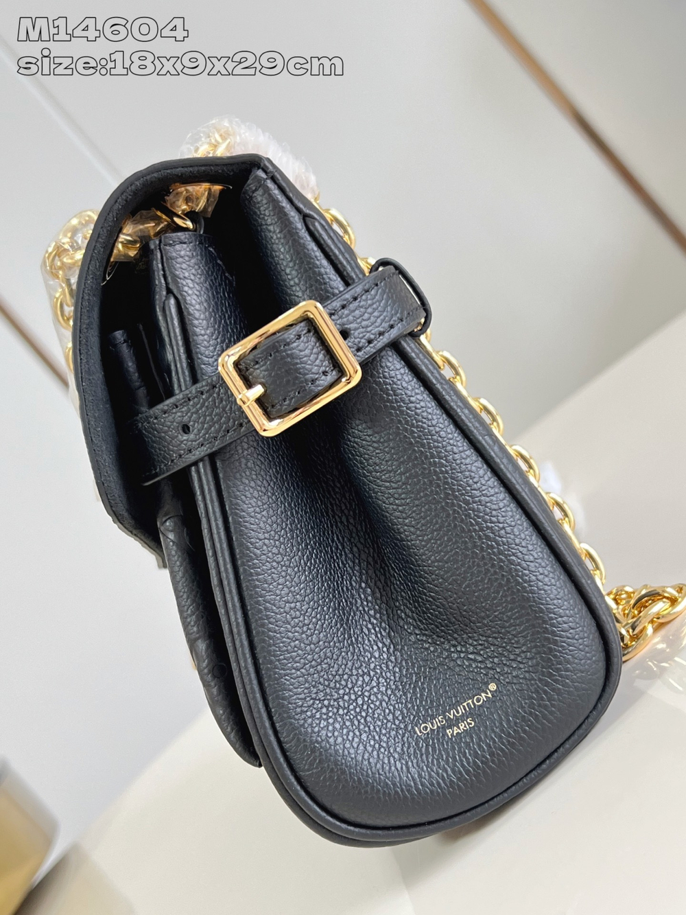 Louis Vuitton Anytime Flap Bag