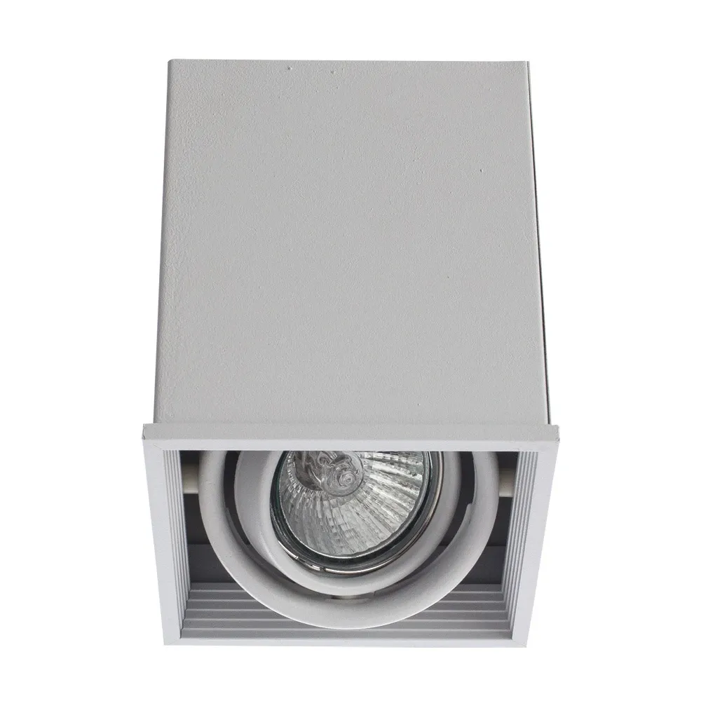 Точечный накладной светильник Arte Lamp CARDANI PICCOLO