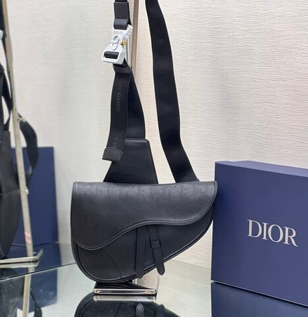 Christian Dior Saddle 26 cm