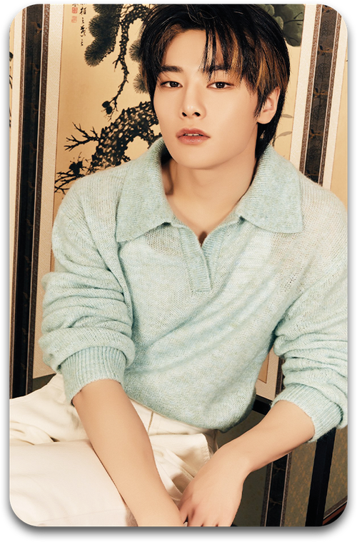 Карта / STRAY KIDS #1315