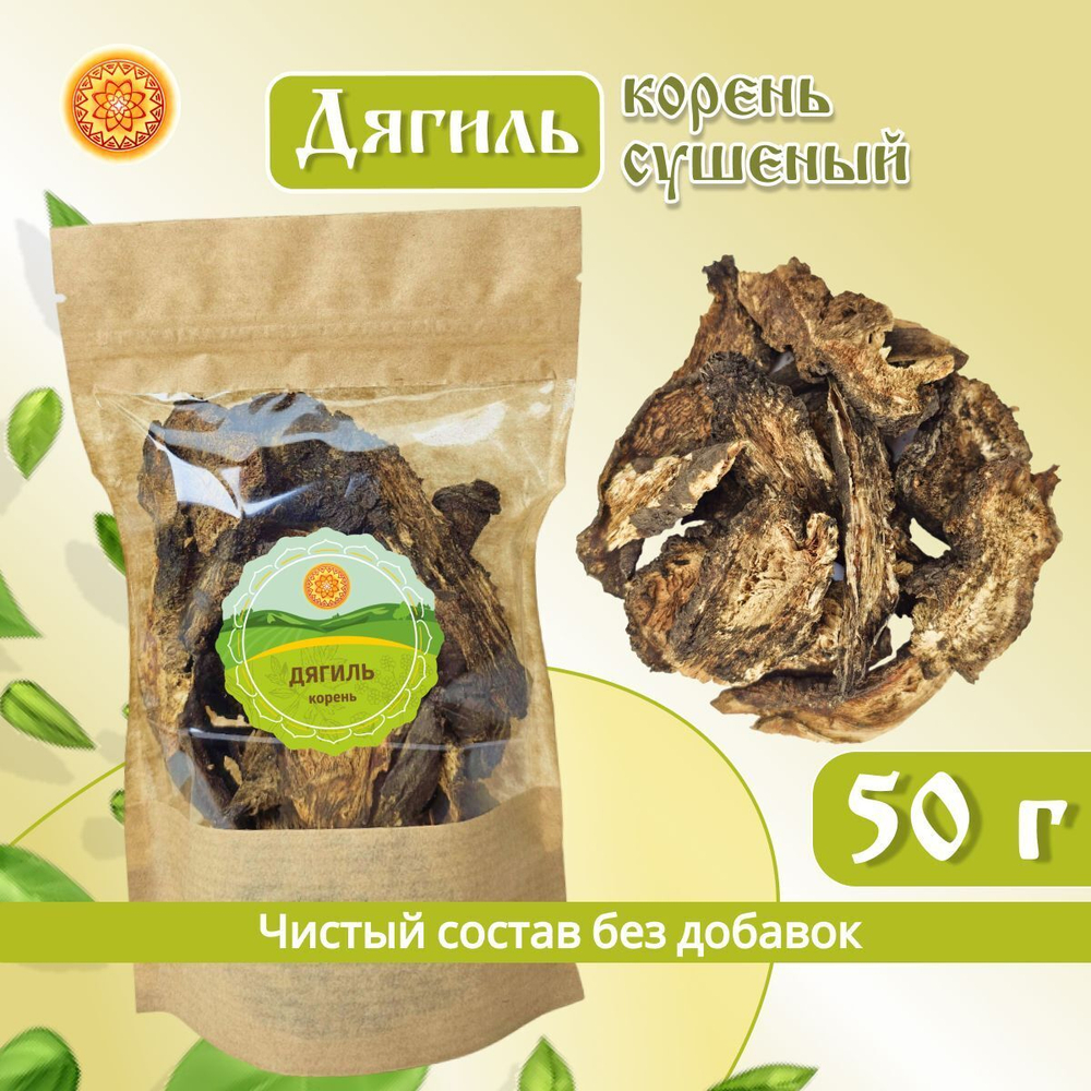 Дягиль корень.
