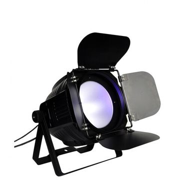 Прожектор Led Par COB 200 WW-CW