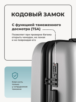 Набор S/M ручная кладь и средний Серебристый