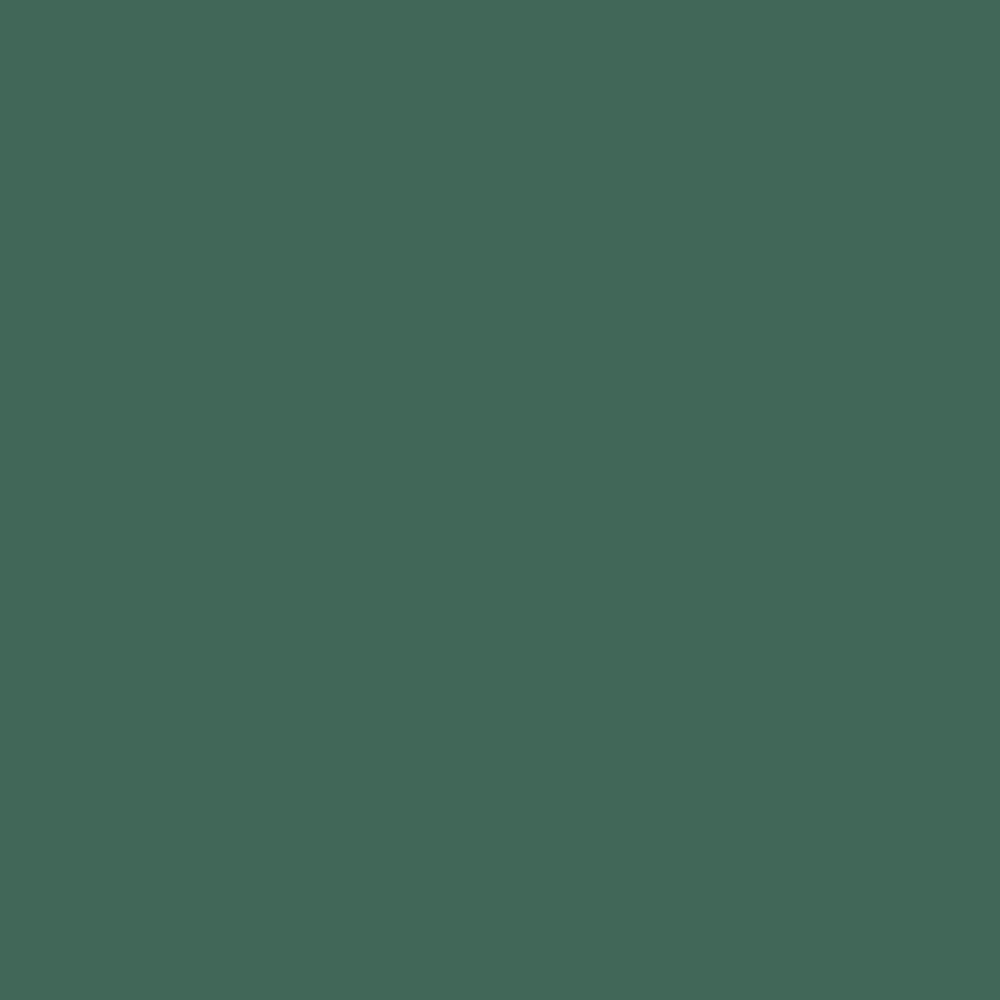 Коляска 2 в 1 Carrello Ultra CRL-6525 Morning Green