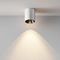 Потолочный светодиодный светильник Maytoni Technical Alfa Led C064CL-12W3K-RD-WB
