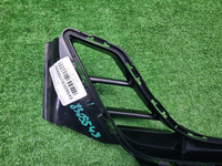 Решетка перед. бампера BMW 4er G22 (20-нв) M-paket