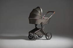 Детская коляска Anex Flo 2 в 1 Cesar