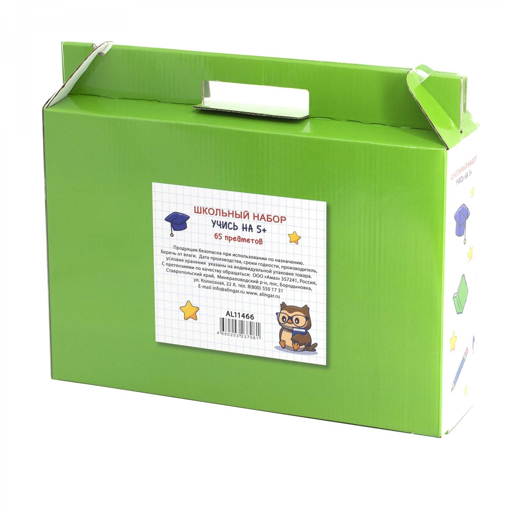 Набор школьный Alingar "Сова" 65 предметов, упаковка гофрокороб