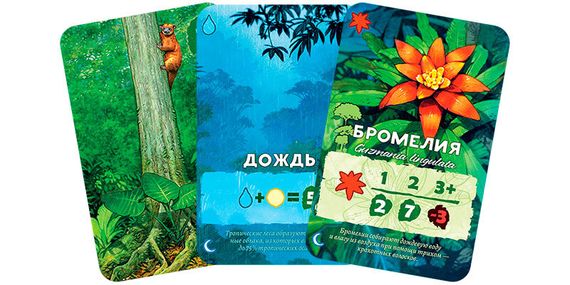 Игра "Амазония"