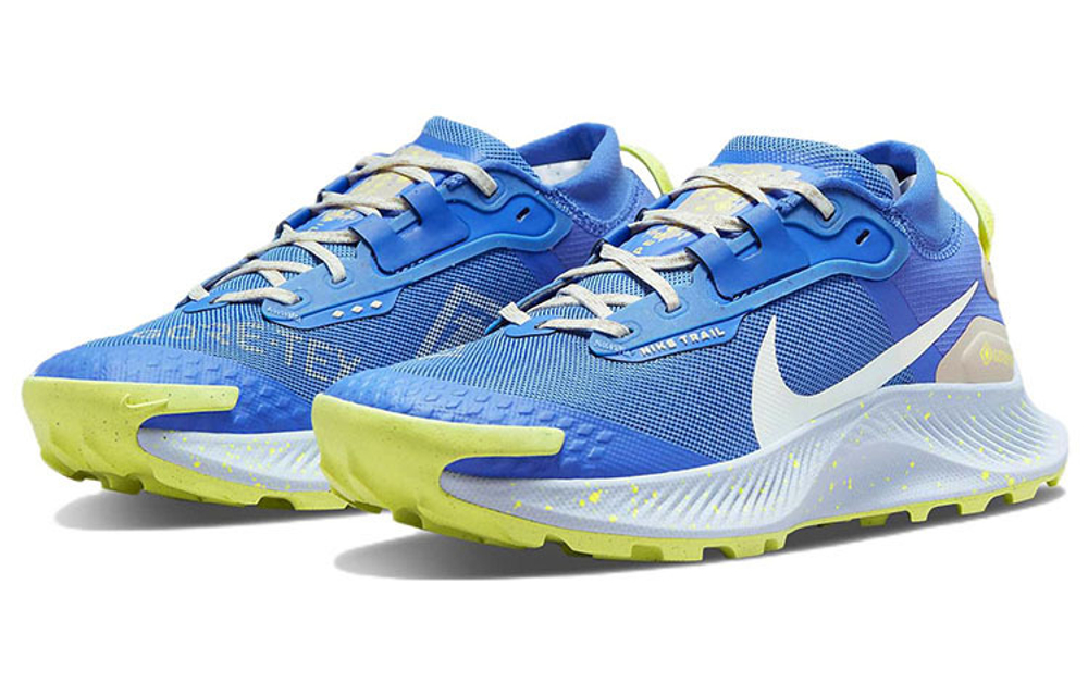 Кроссовки Nike Pegasus Trail 3 Gore-Tex (Женская размерная сетка)
