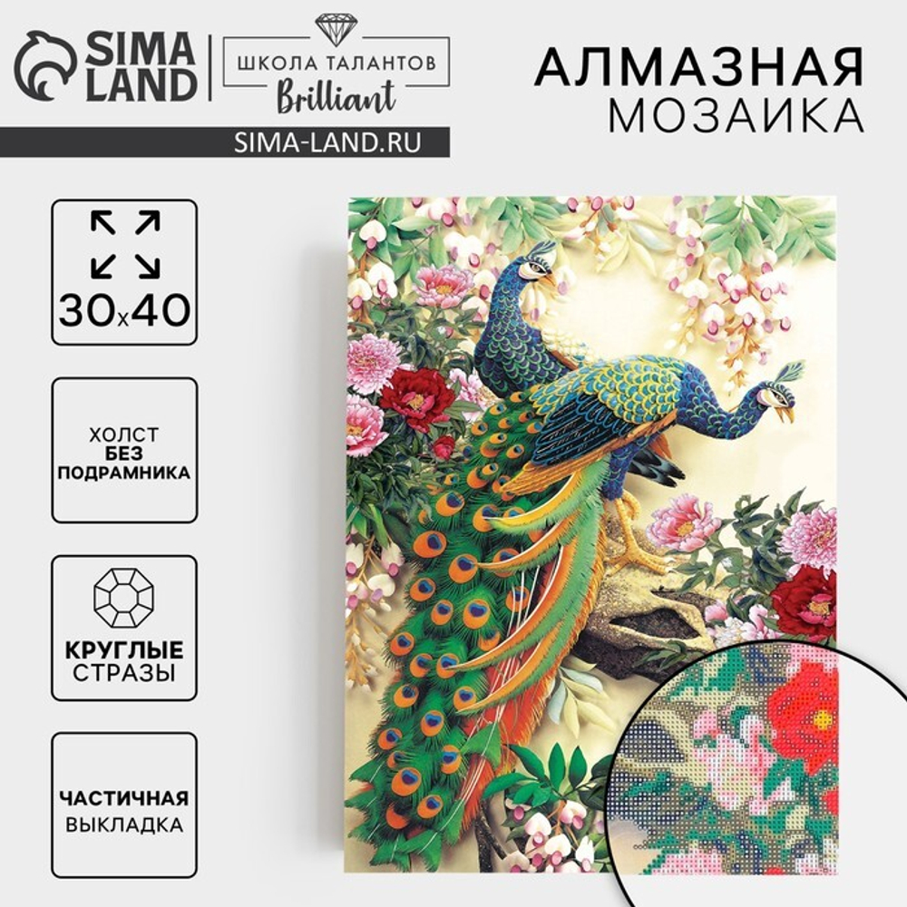 Алмазная вышивка на холсте 30x40 см с частичным заполнением "Павлины", 1516816