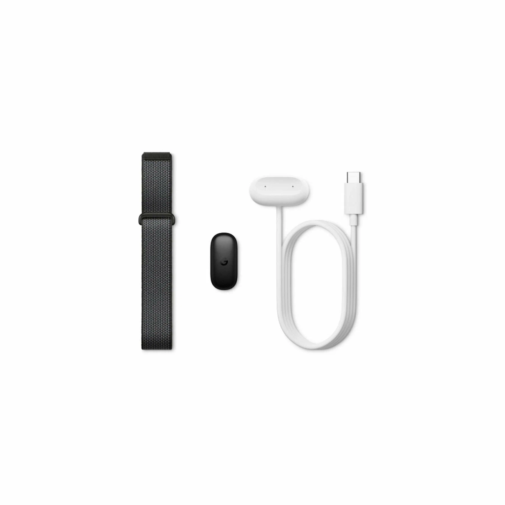 Google Fitbit Air