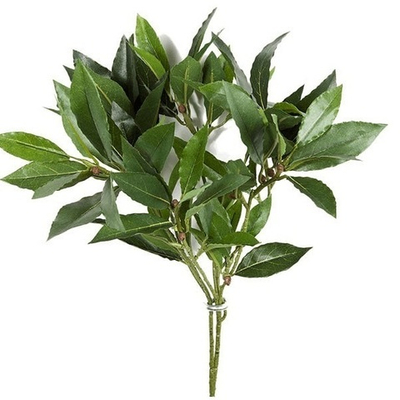 Ветка лавра [Арт. 92647]