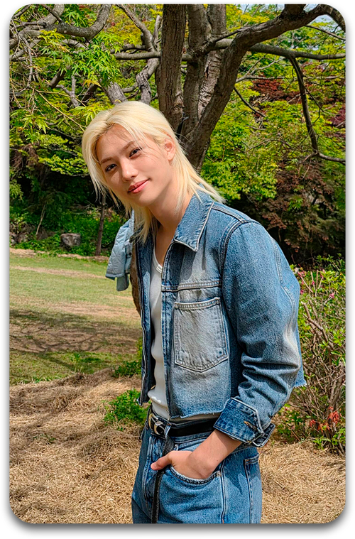 Карта / STRAY KIDS #3772