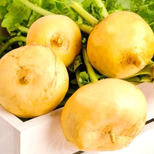 Репа Деревенская Отборная