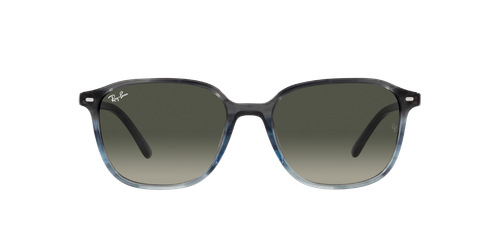 RAY-BAN LEONARD RB2193 138171