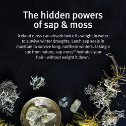 Aveda Sap Moss Weightless Hydrating Shampoo - легкий увлажняющий шампунь против пушистости /   200  ml  / GTIN 018084001929