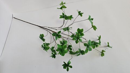 Шеффлера Компакта / Арт 1079