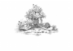 Дамский альбом с стихами и прозой | Нет автора