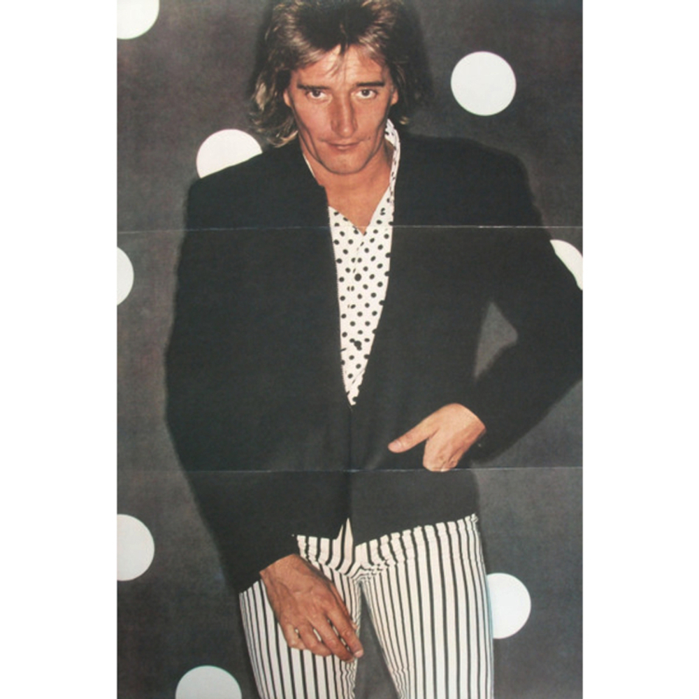 Rod Stewart / Foolish Behaviour (LP)