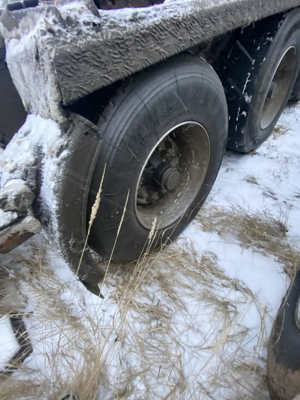 KOLUMAN S Полуприцеп сортиментовоз S30