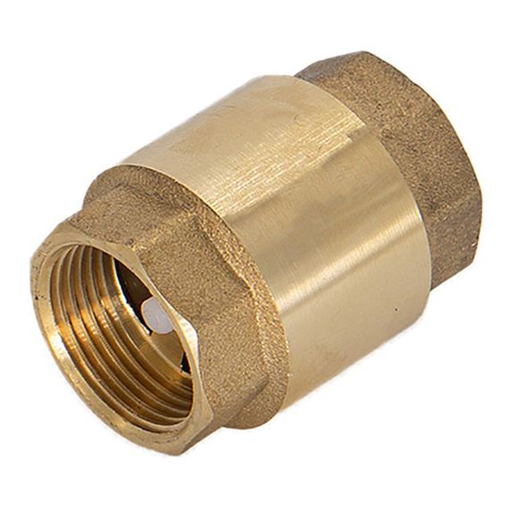 Клапан обратный 1quot; CTM купить в Москве и Московской области по низкой цене с доставкой по России — (1) Клапан обратный 1quot; CTM — (1)