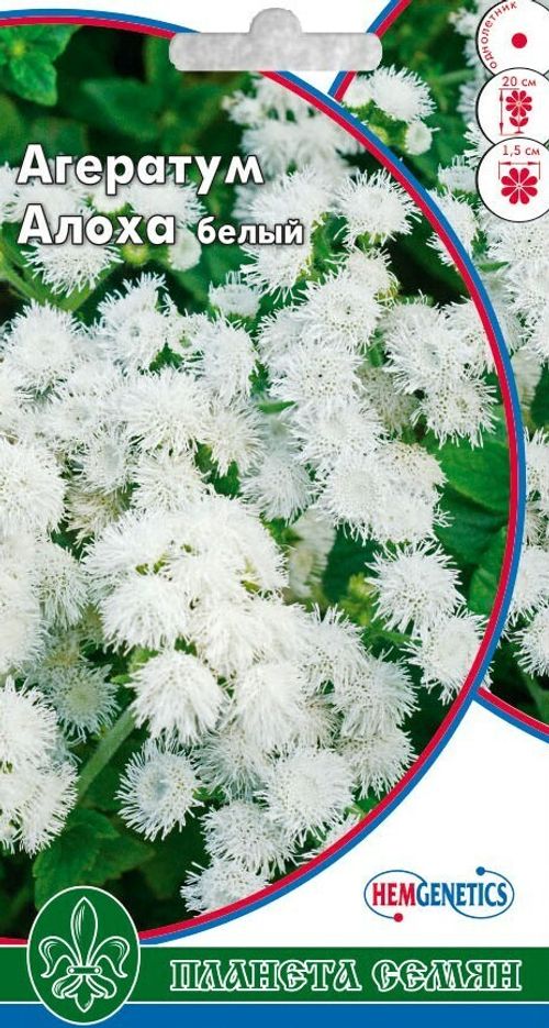 Агератум Алоха белый