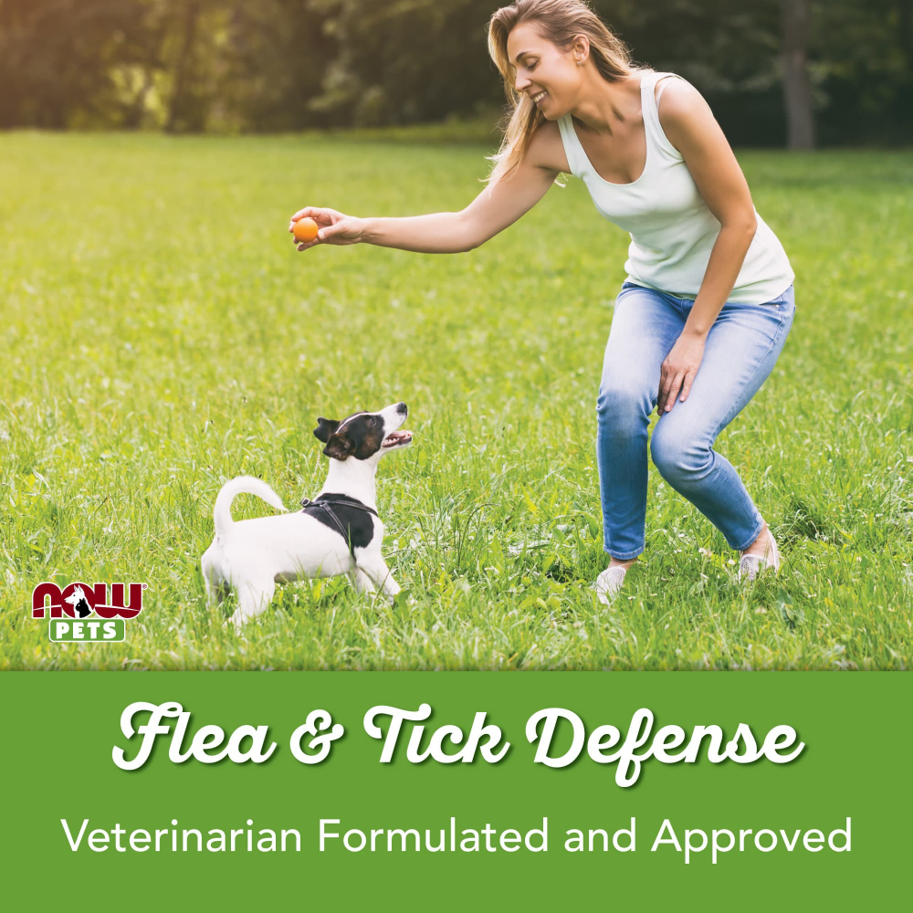 NOW Foods, Pets, спрей от блох и клещей для собак, 237 мл (8 жидк. унций)