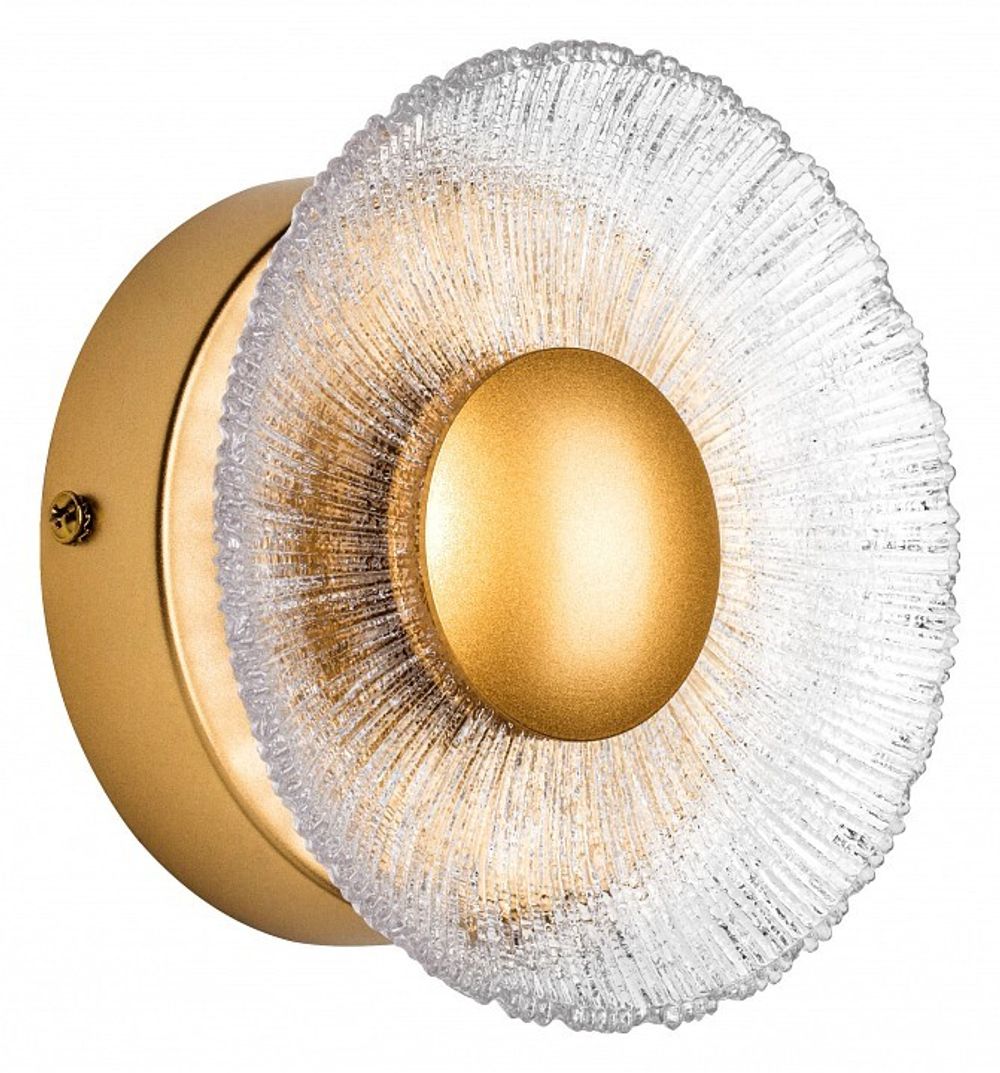 Накладной светильник Lightstar Erica 609602