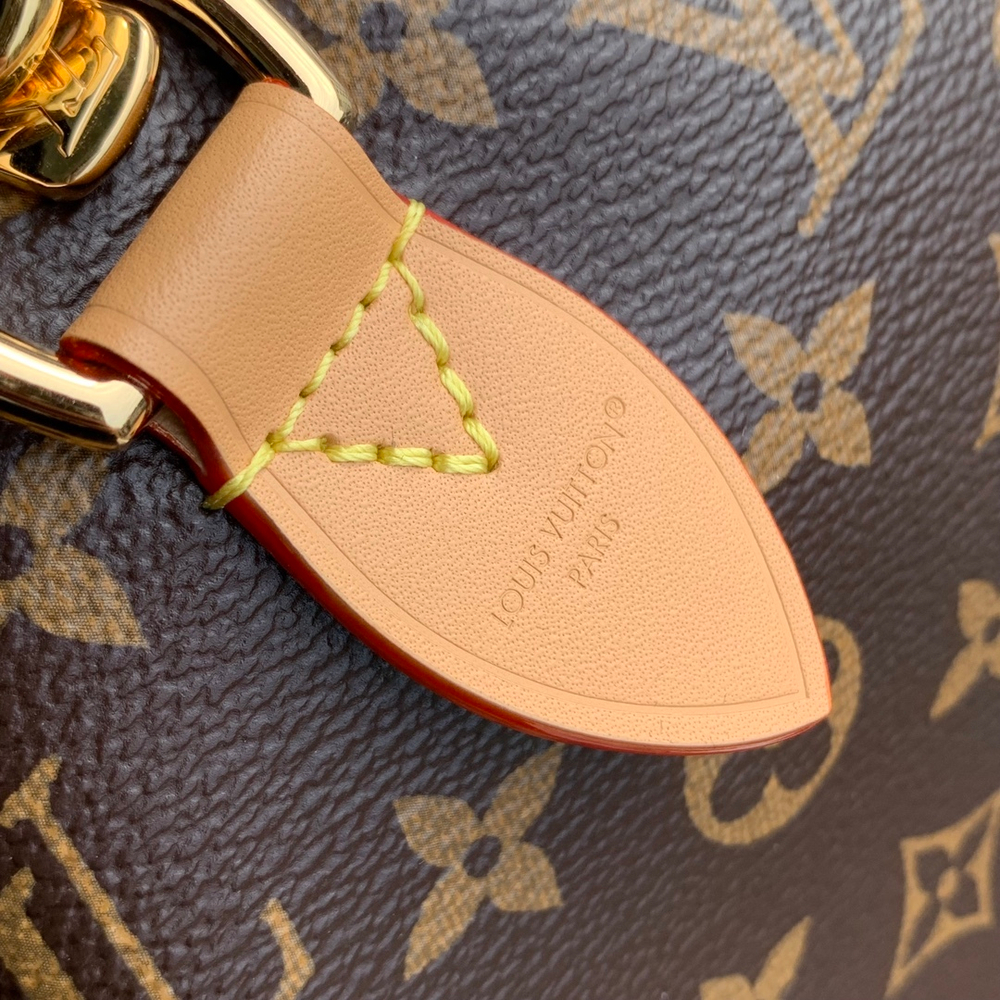 Louis Vuitton Speedy Soft 30 Crafty