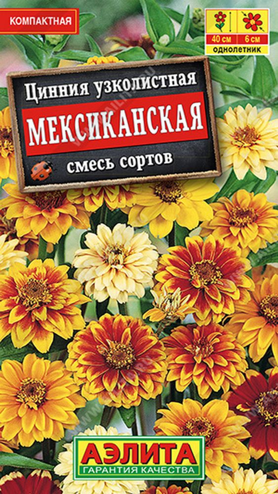 Цинния "G. Мексиканская" 0.3г., Россия. Цинния "G. Мексиканская" 0.3г., Россия.