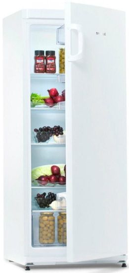 Холодильник Snaige C29SM-T10021