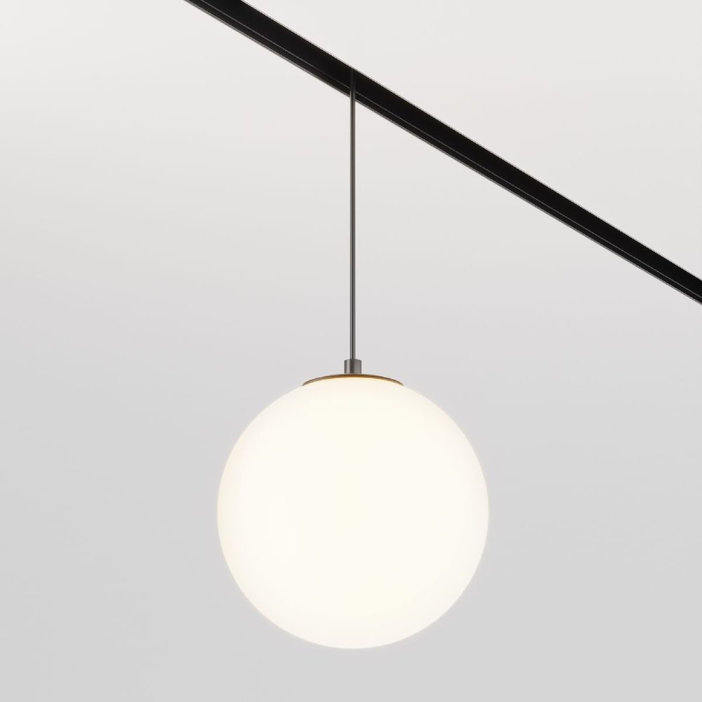 Трековый светильник Maytoni Technical TR039-2-5W3K