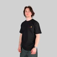  Футболка мужская Carhartt WIP American Script артикул:I029956 - купить в магазине Дайс