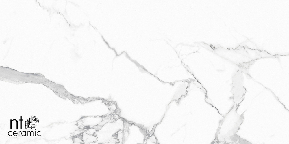 Керамогранит Statuario Infinity NTT9125M 600*1200мм матовая