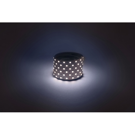 Светодиодная лента ЭРА LS5050-14,4-60-12-6500K-IP20 1 year-50m холодный белый 1 год