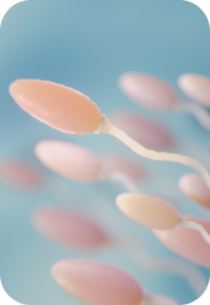 Андрологическая лаборатория