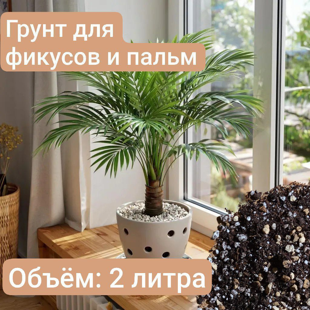 Авторский грунт для Фикусов и Пальм 2 литра