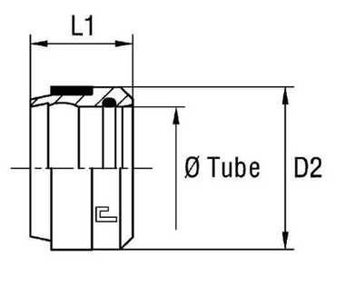 Кольцо R DL22 B4