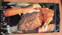 Увлажняющий пакет для сигар "Habanos" малый