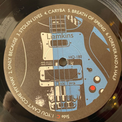 Винтажная виниловая пластинка LP Liamkins Reason Softly Speaks Or Just Make It Louder (Россия 2013)