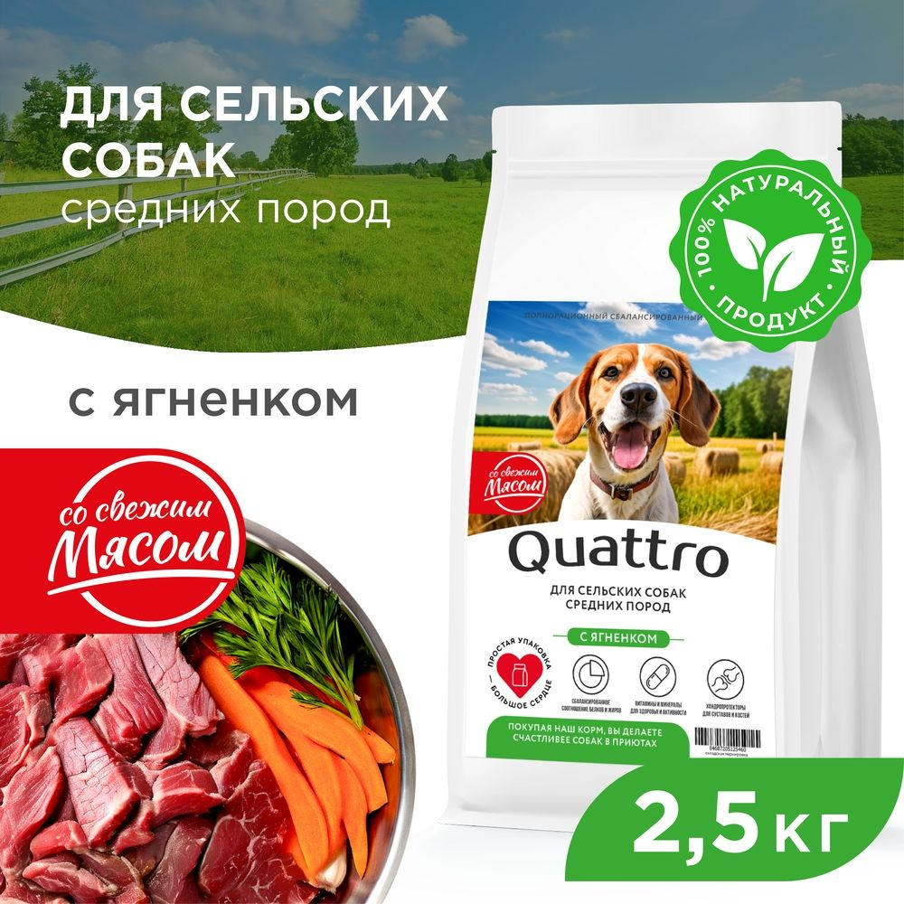 Корм сухой для собак средних пород, премиум полнорационный комплекс, для живущих в сельской местности, с ягненком, 2,5 кг, QUATTRO