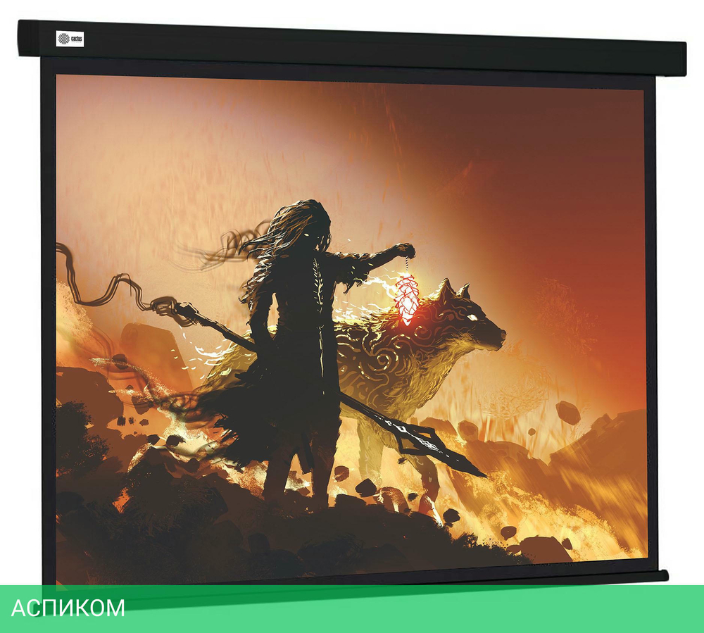 Проекционный экран Cactus 149.4x265.7см Wallscreen CS-PSW-149X265-BK черный