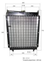 Радиатор охлаждения Ricardo N4105DS; TDK-N 38 4LT в сборе/Radiator assembly