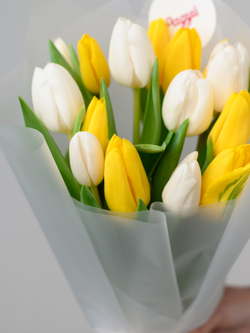 Тюльпаны микс
