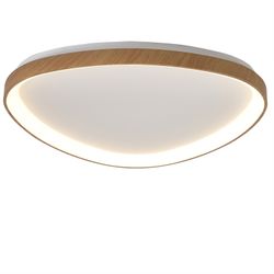 8636 Потолочный светильник NISEKO II